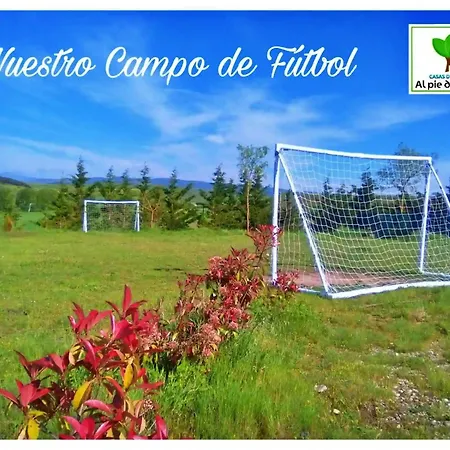 Casas Al Pie Del Arbol *