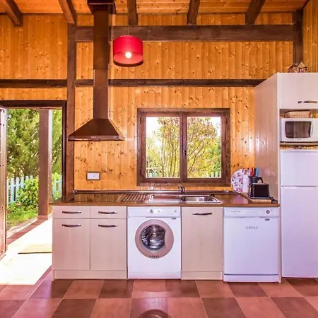 Casas Al Pie Del Arbol