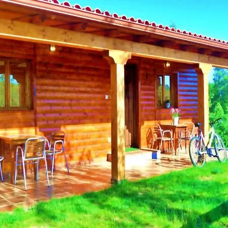 Casas Al Pie Del Arbol