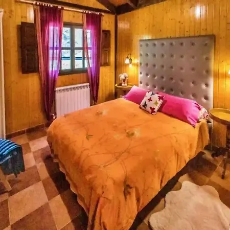 Casas Al Pie Del Arbol