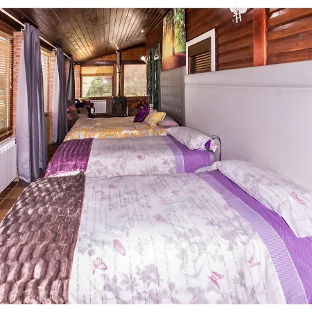 Casas Al Pie Del Arbol