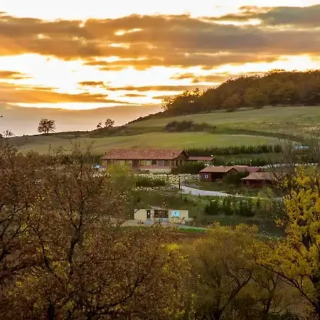 Casas Al Pie Del Arbol