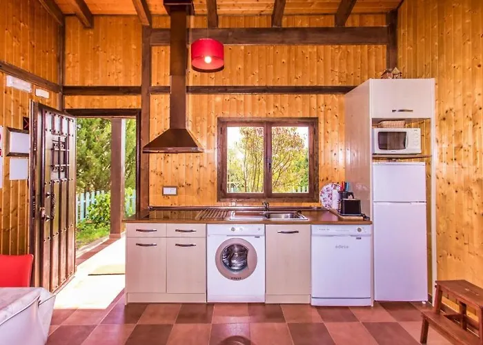 Casas Al Pie Del Arbol