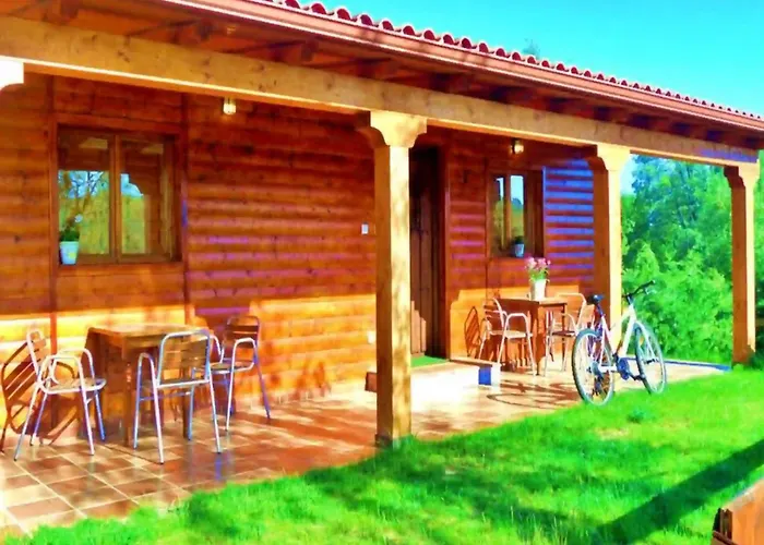 Casas Al Pie Del Arbol